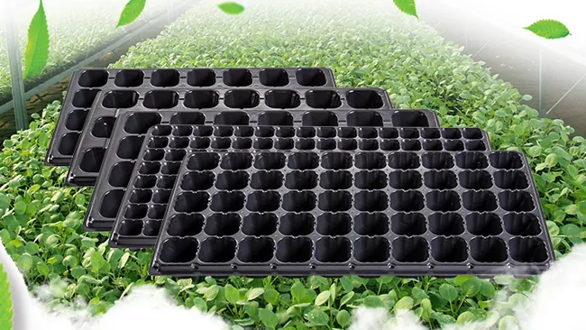 Hvad er produktionsmaskinerne til frøplantebakker?